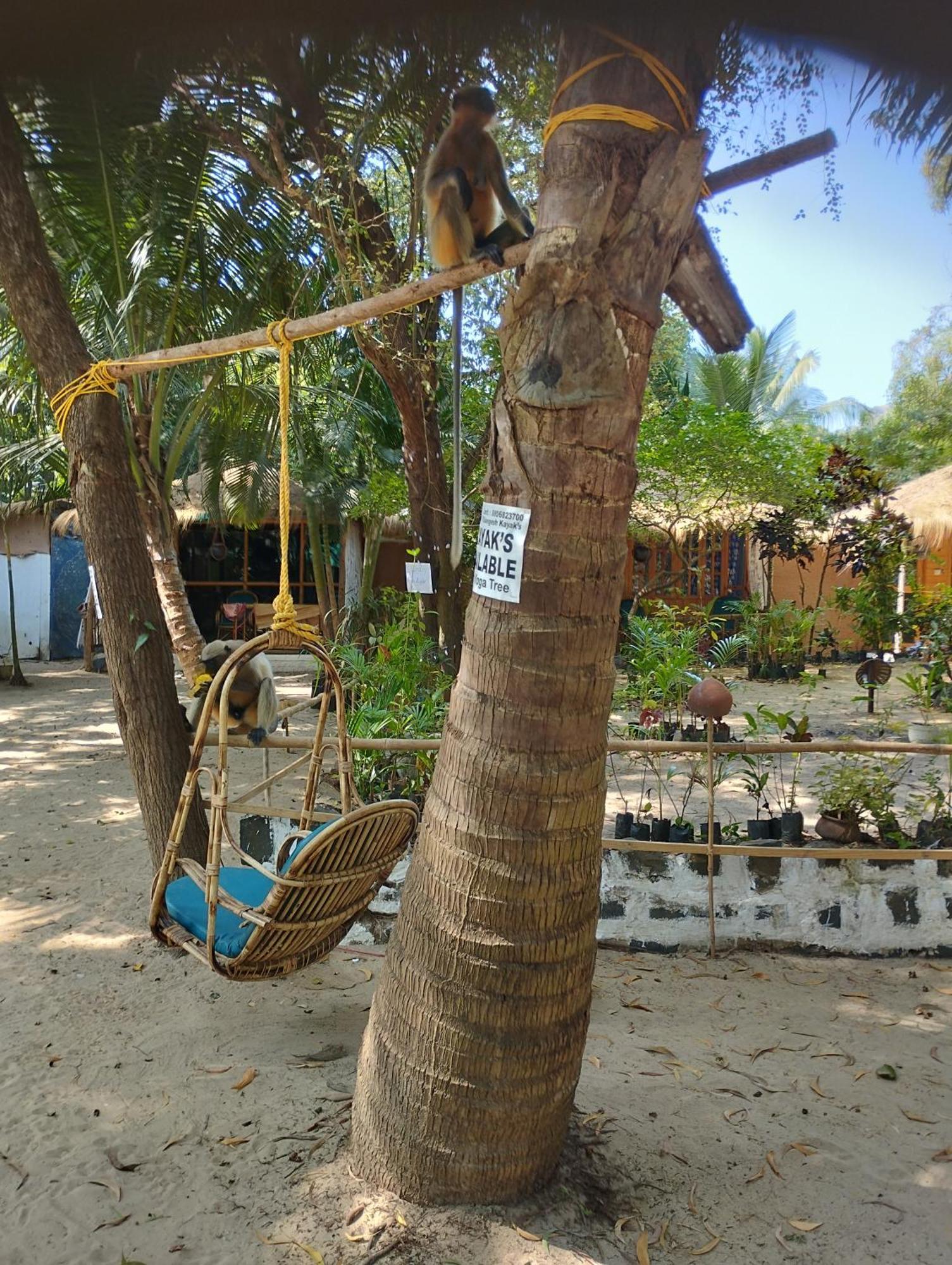 Yoga Culture Palolem Hotel Exterior foto