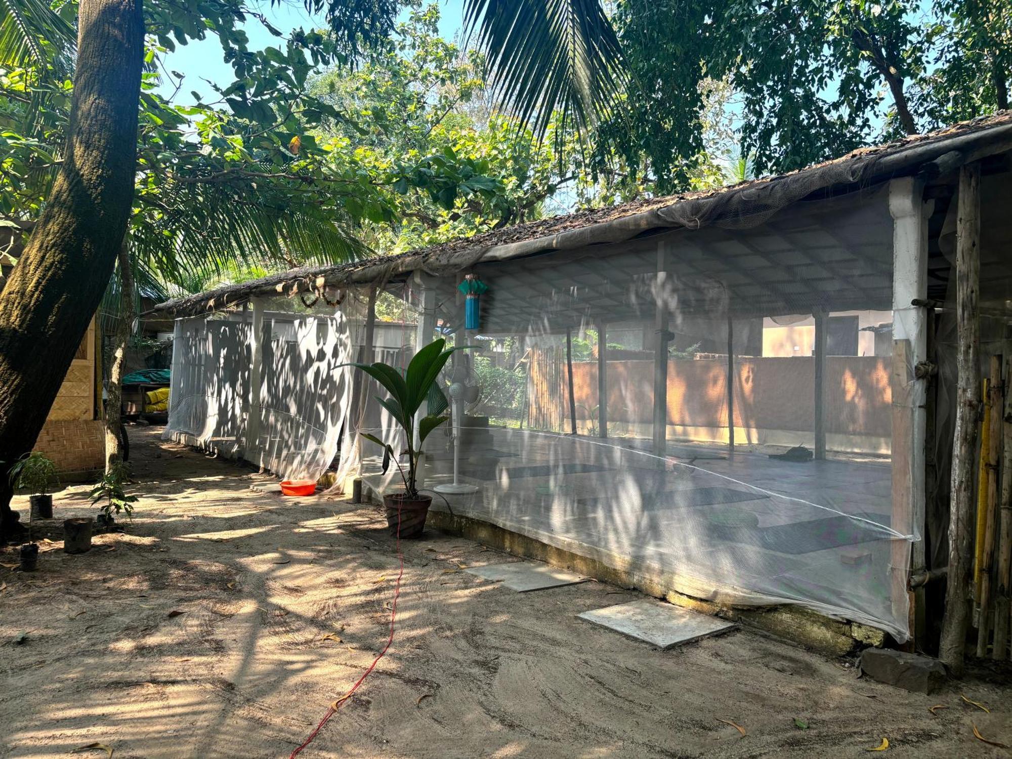 Yoga Culture Palolem Hotel Exterior foto